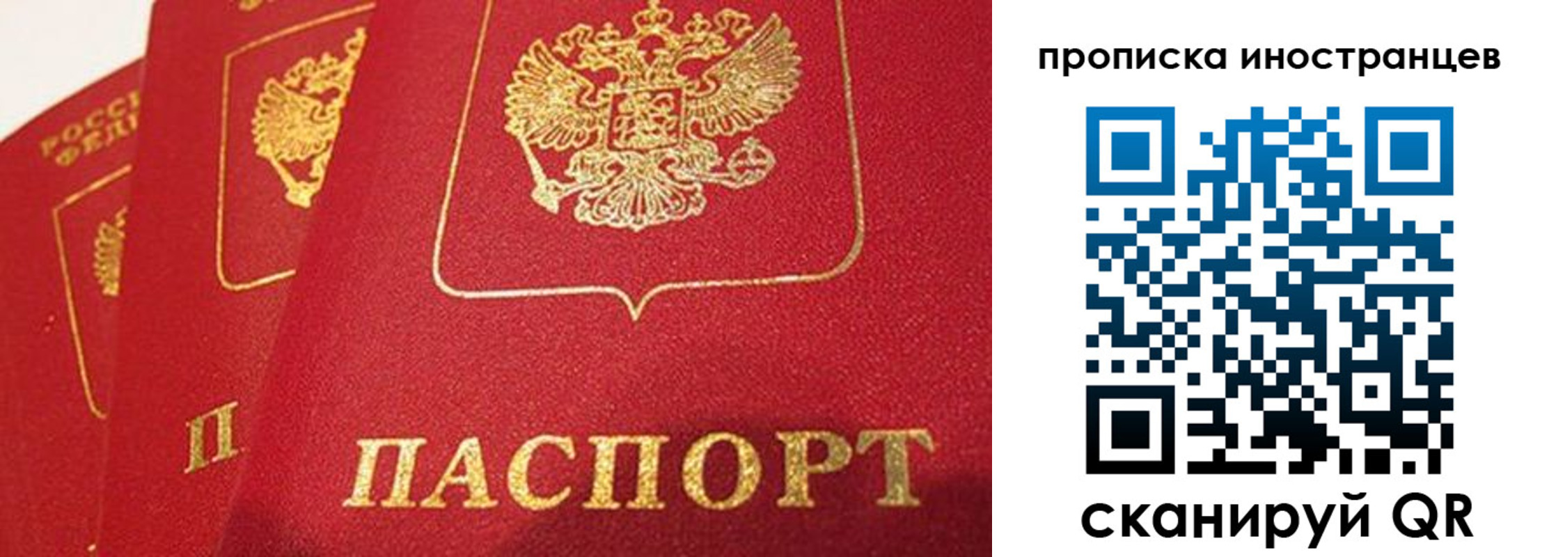 прописка поиск в Ворсме